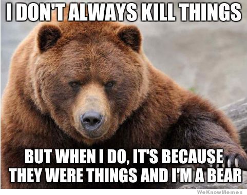 the-most-interesting-bear-in-the-world.jpg