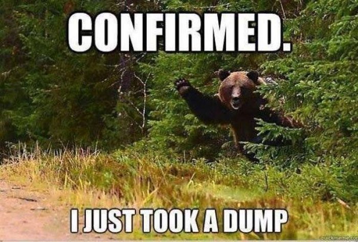 Funny-Bear-Meme-I-Just-Took-A-Dump-Picture.jpg